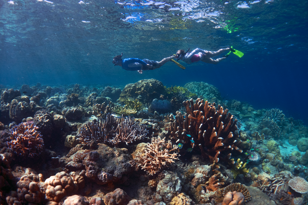 Diving Solomon Islands